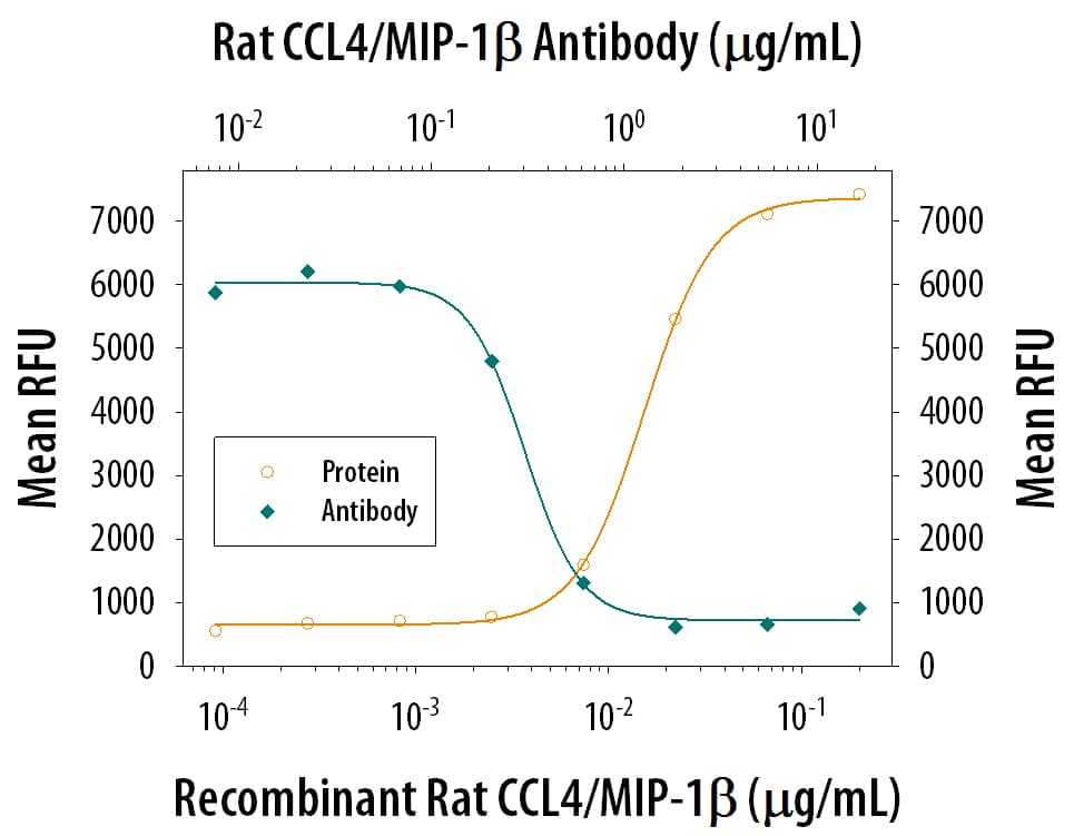 <b>Biological Strategies Validation. </b>Recombinant rat CCL4/MIP-1 beta  (Catalog # 6935-MB) induces BaF3 mouse proB cell line transfected with human CCR5 in a dose-dependent manner (orange line). The amount of cells that migrated through to the lower chemotaxis chamber was measured by Resazurin (Catalog # AR002). Chemotaxis elicited by Recombinant rat CCL4/MIP-1 beta  (0.075 ug/mL) is neutralized (green line) by increasing concentrations of Sheep Anti-Rat CCL4/MIP-1 beta  Antigen Affinity-purified Polyclonal Antibody (Catalog # AF6935). The ND50 is typically 0.1-0.5 ug/mL.