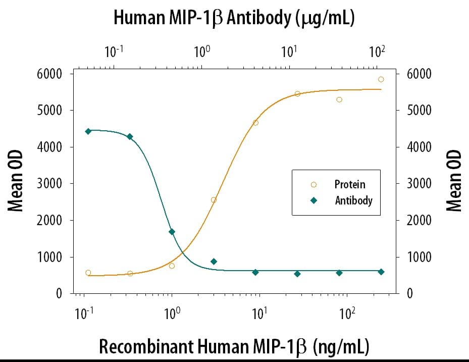 Neutralization CCL4/MIP-1 beta Antibody (24006) [Unconjugated]