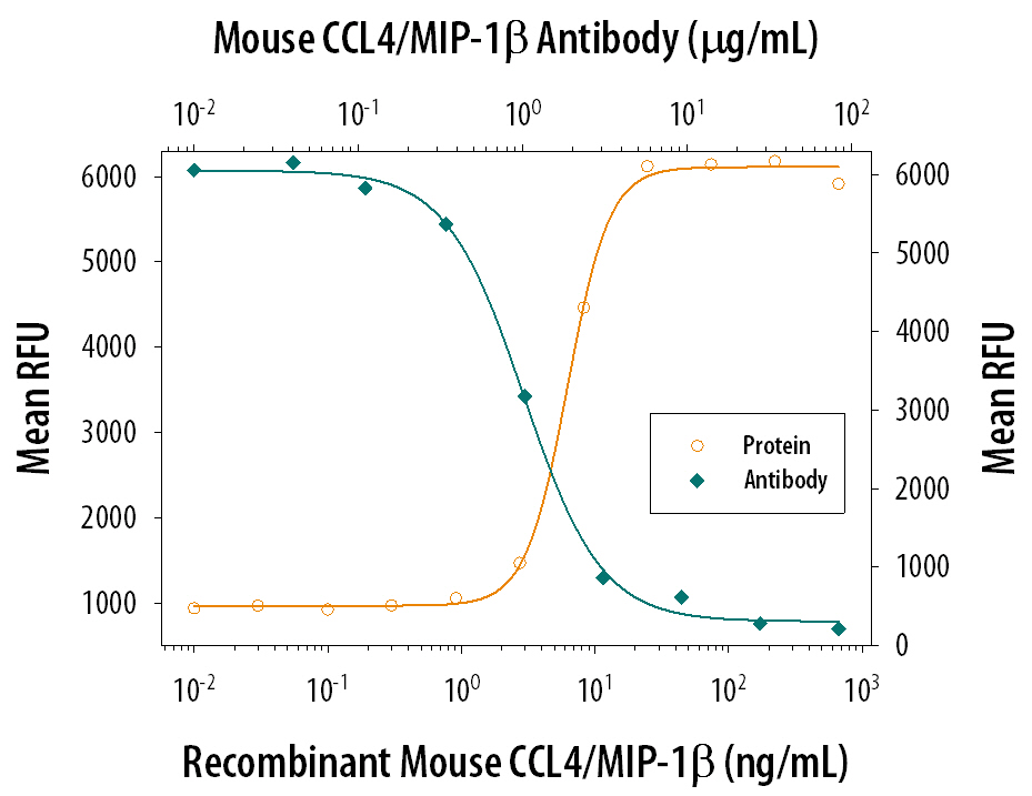 Recombinant Mouse CCL4/MIP-1 beta  (Catalog # 451-MB) chemoattracts the BaF3 mouse pro-B cell line transfected with human CCR5 in a dose-dependent manner (orange line). The amount of cells that migrated through to the lower chemotaxis chamber was measured by Resazurin (Catalog # AR002). Chemotaxis elicited by Recombinant Mouse CCL4/MIP-1 beta  (25 ng/mL) is neutralized (green line) by increasing concentrations of Rat Anti-Mouse CCL4/MIP-1 beta  Monoclonal Antibody (Catalog # MAB451). The ND50 is typically 1-3 µg/mL.