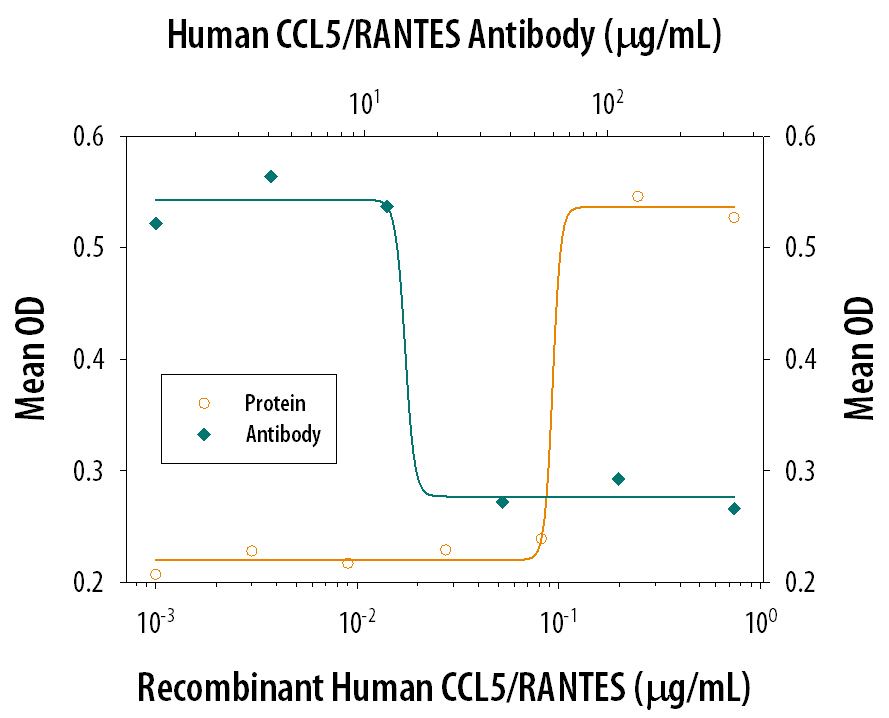 Recombinant Human CCL5/ RANTES (Catalog # 278-RN) chemoattracts human monocytes in a dose-dependent manner (orange line). The amount of cells that migrated through to the membrane was measured by LeukoStat™ staining (Fisher Scientific). Chemotaxis elicited by Recombinant Human CCL5/ RANTES (0.2 µg/mL) is neutralized (green line) by increasing concentrations of Goat Anti-Human CCL5/RANTES Polyclonal Antibody (Catalog # AB-278-NA). The ND50 is typically 10-30 µg/mL.