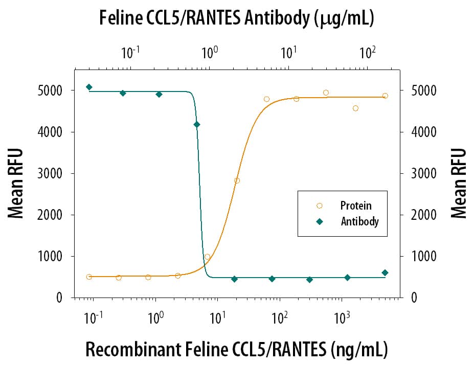 Recombinant Feline CCL5/ RANTES (Catalog # 3819-FR) chemoattracts the BaF3 mouse pro-B cell line transfected with human CCR5 in a dose-dependent manner (orange line). The amount of cells that migrated through to the lower chemotaxis chamber was measured by Resazurin (Catalog # AR002). Chemotaxis elicited by Recombinant Feline CCL5/ RANTES (80 ng/mL) is neutral-ized (green line) by increasing concen-trations of Sheep Anti-Feline CCL5/RANTES Antigen Affinity-purified Polyclonal Antibody (Catalog # AF3819). The ND50 is typically 0.5-2.5 µg/mL.