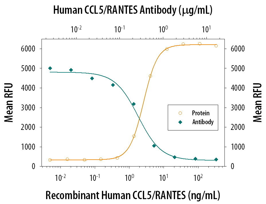 Recombinant Human CCL5/RANTES (Catalog # 278-RN) chemoattracts the BaF3 mouse pro-B cell line transfected with human CCR5 in a dose-dependent manner (orange line). The amount of cells that migrated through to the lower chemotaxis chamber was measured by Resazurin (Catalog # AR002). Chemotaxis elicited by Recombinant Human CCL5/RANTES (0.01 µg/mL) is neutralized (green line) by increasing concentrations of Mouse Anti-Human CCL5/RANTES Monoclonal Antibody (Catalog # MAB278). The ND50 is typically 0.1-0.4 µg/mL.