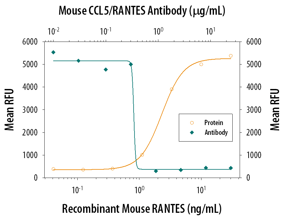 Recombinant Mouse CCL5/RANTES (Catalog # 478-MR) chemoattracts the BaF3 mouse pro-B cell line transfected with human CCR5 in a dose-dependent manner (orange line). The amount of cells that migrated through to the lower chemotaxis chamber was measured by Resazurin (Catalog # AR002). Chemotaxis elicited by Recombinant Mouse CCL5/RANTES (0.025 µg/mL) is neutralized (green line) by increasing concentrations of Mouse CCL5/RANTES Monoclonal Antibody (Catalog # MAB478). The ND50 is typically 0.1-0.5 µg/mL.