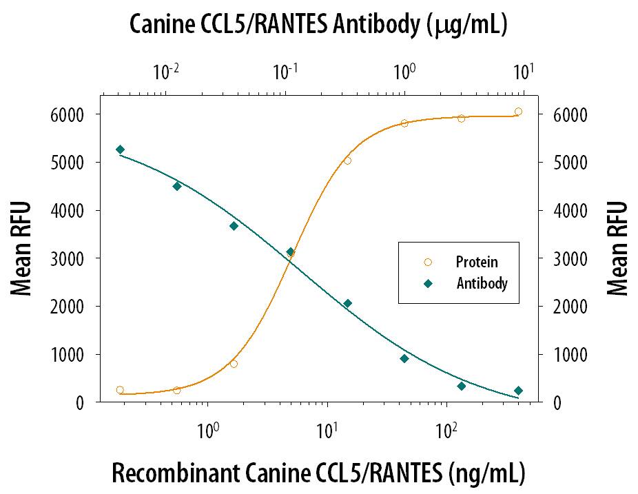Recombinant Canine CCL5/RANTES (Catalog # 6045-CR) chemoattracts the BaF3 mouse pro-B cell line transfected with human CCR5 in a dose-dependent manner (orange line). The amount of cells that migrated through to the lower chemotaxis chamber was measured by Resazurin (Catalog # AR002). Chemotaxis elicited by Recombinant Canine CCL5/RANTES (10 ng/mL) is neutralized (green line) by increasing concentrations of Mouse Anti-Canine CCL5/ RANTES Monoclonal Antibody (Catalog # MAB6045). The ND50 is typically 0.075-0.45 µg/mL.