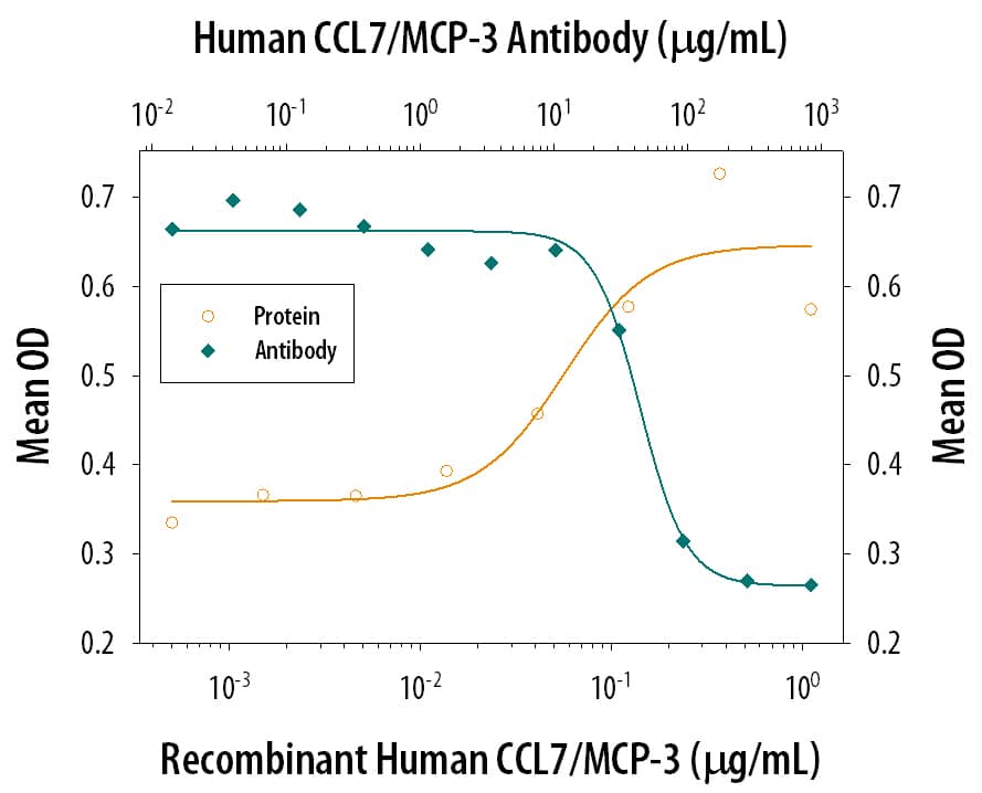 Recombinant Human CCL7/ MCP-3 (Catalog # 282-P3) chemoattracts human monocytes in a dose-dependent manner (orange line). The amount of cells that migrated through to the lower chemotaxis chamber was measured by LeukoStat™ staining (Fisher Scientific). Chemotaxis elicited by Recombinant Human CCL7/MCP-3 (0.1 µg/mL) is neutralized (green line) by increasing concentrations of Goat Anti-Human CCL7/ MCP-3 Polyclonal Antibody (Catalog # AB-282-NA). The ND50 is typically 30-60 µg/mL.