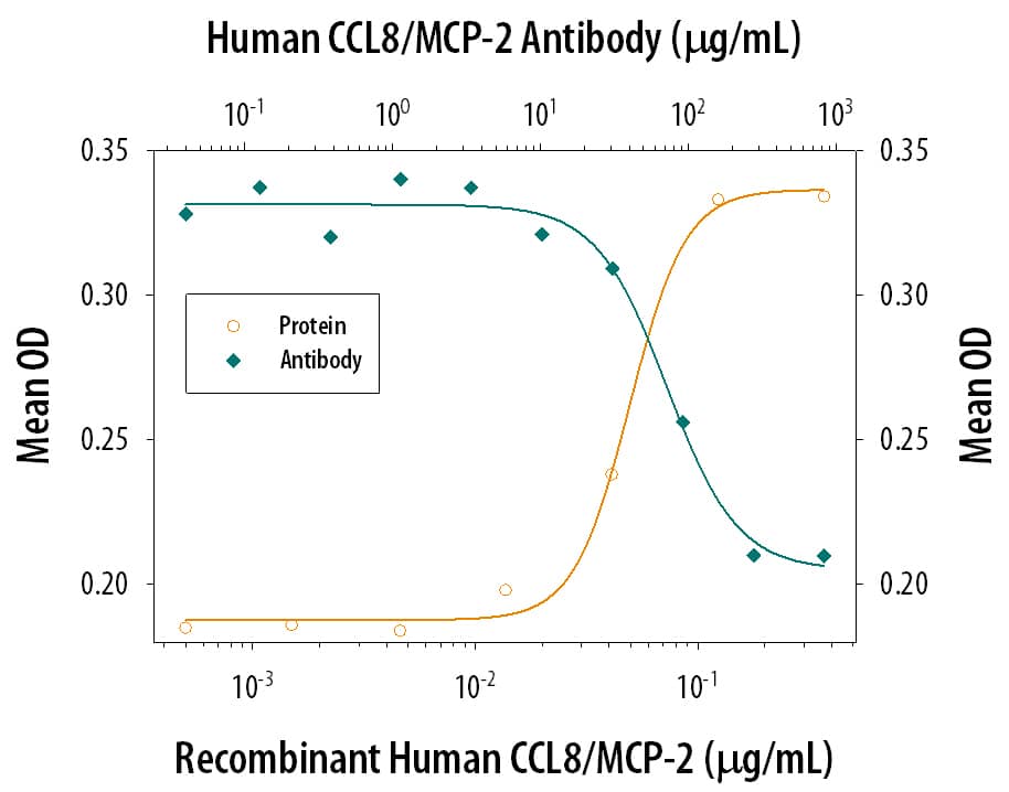 Recombinant Human CCL8/MCP-2 (Catalog # 281-CP) chemoattracts human monocytes in a dose-dependent manner (orange line). The amount of cells that migrated through the filter was measured by LeukoStat™ staining (Fisher Scientific). Chemotaxis elicited by Recombinant Human CCL8/MCP-2 (0.4 µg/mL) is neutralized (green line) by increasing concentrations of Goat Anti-Human CCL8/MCP-2 Polyclonal Antibody (Catalog # AB-281-NA). The ND50 is typically 60-120 µg/mL.