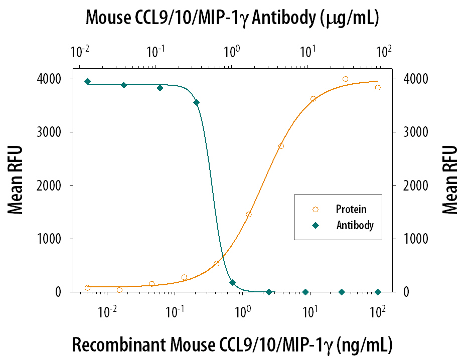 Recombinant Mouse CCL9/10/MIP-1 gamma (Catalog # 463-MG) chemoattracts the BaF3 mouse pro-B cell line transfected with human CCR1 in a dose-dependent manner (orange line). The amount of cells that migrated through to the lower chemotaxis chamber was measured by Resazurin (Catalog # AR002). Chemotaxis elicited by Recombinant Mouse CCL9/10/MIP-1 gamma (40 ng/mL) is neutralized (green line) by increasing concentrations of Goat Anti-Mouse CCL9/10/ MIP-1 gamma Antigen Affinity-purified Polyclonal Antibody (Catalog # AF463). The ND50 is typically 0.3-1.0 µg/mL.