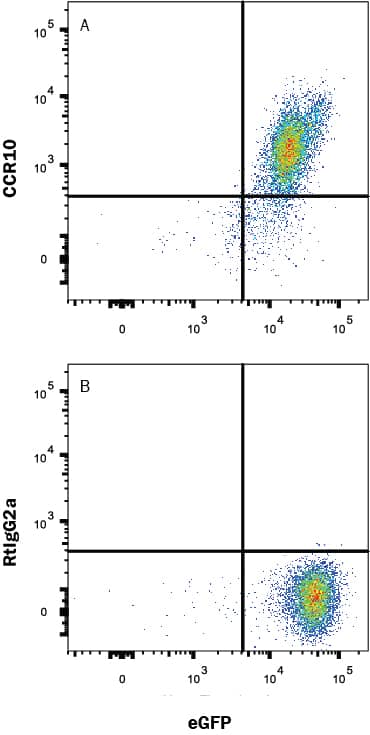 HEK293 human embryonic kidney cell line transfected with human CCR10 and eGFP was stained with (A) Rat Anti-Human CCR10 Monoclonal Antibody (Catalog # MAB3478R) or (B) Rat IgG2A Isotype Control (Catalog # MAB006) followed by APC-conjugated Anti-Rat IgG Secondary Antibody (Catalog # F0113). View our protocol for Staining Membrane-associated Proteins.