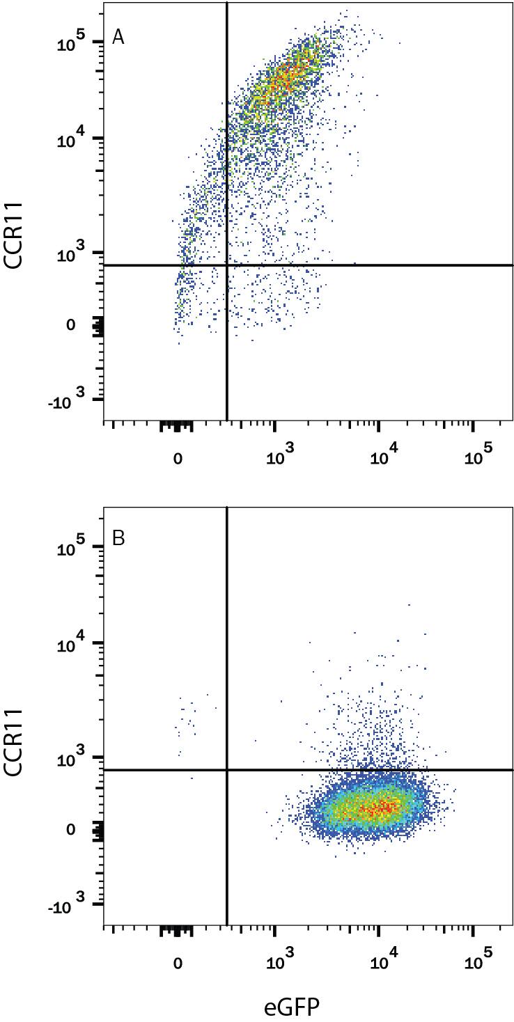 Flow Cytometry CCR11 Antibody (674144) [Unconjugated]