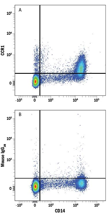 Human peripheral blood mononuclear cells (PBMCs) were stained with Mouse Anti-Human CD14 APC-conjugated Monoclonal Antibody (Catalog # FAB3832A) and either (A) Mouse Anti-Human CCR1 PE-conjugated Monoclonal Antibody (Catalog # FAB145P) or (B) Mouse IgG2BPhycoerythrin Isotype Control (Catalog # IC0041P). View our protocol for Staining Membrane-associated Proteins.