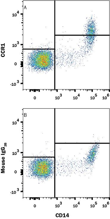 Human peripheral blood mononuclear cells (PBMCs) were stained with Mouse Anti-Human CD14 APC-conjugated Monoclonal Antibody (Catalog # FAB3832A) and either (A) Mouse Anti-Human CCR1 Monoclonal Antibody (Catalog # MAB145R) or (B) Mouse IgG2B Isotype Control (Catalog # MAB0041) followed by anti-Mouse IgG PE-conjugated Secondary Antibody (Catalog # F0102B). View our protocol for Staining Membrane-associated Proteins.