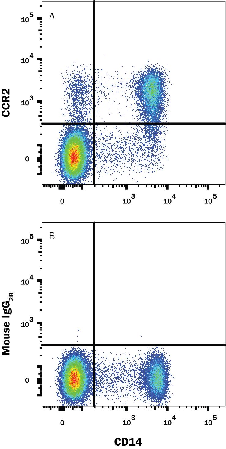 Human peripheral blood mononuclear cells (PBMCs) were stained with Mouse Anti-Human CD14 Fluorescein-conjugated Monoclonal Antibody (Catalog # FAB3832F) and either (A) Mouse Anti-Human CCR2 Biotinylated Monoclonal Antibody (Catalog # FAB151B) or (B) Mouse IgG2BBiotinylated Isotype Control (Catalog # IC0041B). View our protocol for Staining Membrane-associated Proteins.