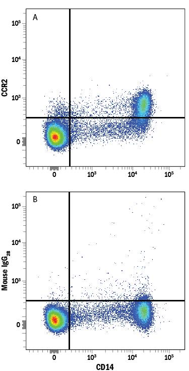 Human peripheral blood mononuclear cells (PBMCs) were stained with Mouse Anti-Human CD14 APC-conjugated Monoclonal Antibody (Catalog # FAB3832A) and either (A) Mouse Anti-Human CCR2 PerCP-conjugated Monoclonal Antibody (Catalog # FAB151C) or (B) Mouse IgG2BPerCP Isotype Control (Catalog # IC0041C). View our protocol for Staining Membrane-associated Proteins.