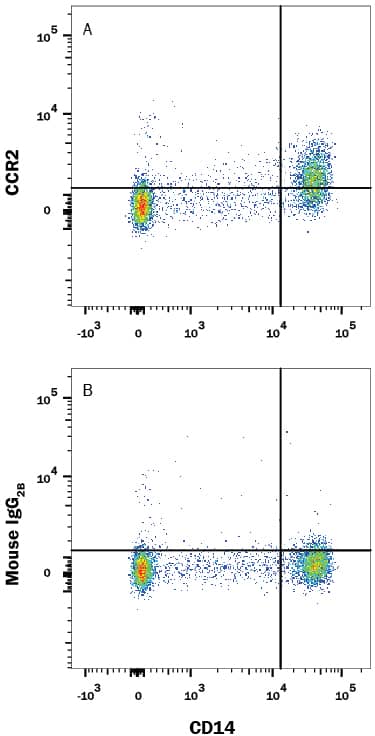 Human peripheral blood mononuclear cells (PBMCs) were stained with Mouse Anti-Human CD14 PE-conjugated Monoclonal Antibody (Catalog # FAB3832P) and either (A) Mouse Anti-Human CCR2 Alexa Fluor® 700-conjugated Monoclonal Antibody (Catalog # FAB151N) or (B) Mouse IgG2BAlexa Fluor 700 Isotype Control (Catalog # IC0041N). View our protocol for Staining Membrane-associated Proteins.