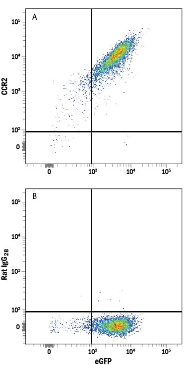NS0 mouse myeloma cell line transfected with mouse CCR2 and eGFP was stained with either (A) Rat Anti-Mouse/Rat CCR2 Alexa Fluor® 647-conjugated Monoclonal Antibody (Catalog # FAB5538R) or (B) Rat IgG2BAlexa Fluor 647 Isotype Control (Catalog # IC013R). View our protocol for Staining Membrane-associated Proteins.