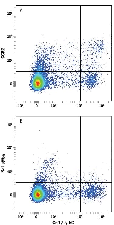 Mouse splenocytes were stained with Rat Anti-Mouse Gr-1/Ly-6G APC-conjugated Monoclonal Antibody (Catalog # FAB1037A) and either (A) Rat Anti-Mouse/Rat CCR2 Alexa Fluor® 594-conjugated Monoclonal Antibody (Catalog # FAB5538T) or (B) Rat IgG2BAlexa Fluor 594 Isotype Control (Catalog # IC013T). View our protocol for Staining Membrane-associated Proteins.