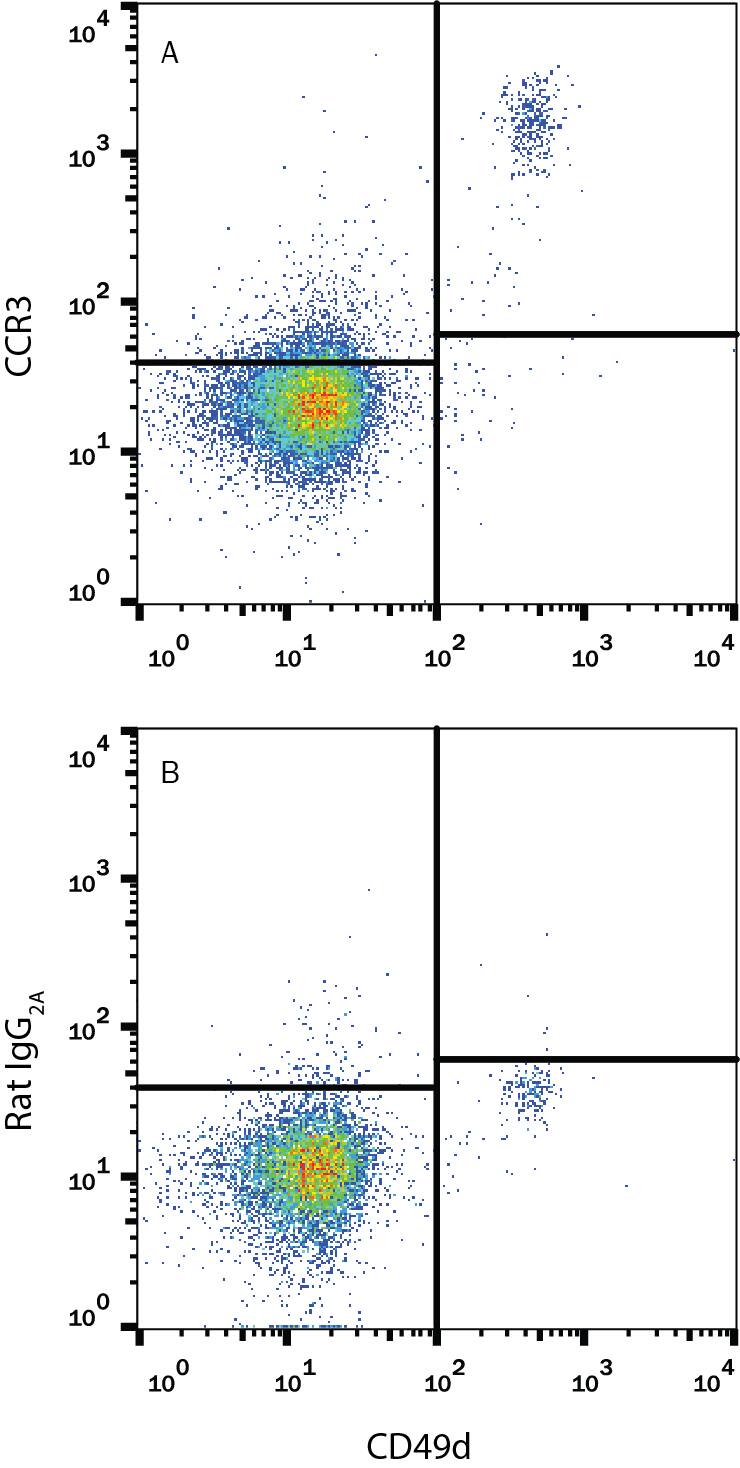 Human peripheral blood granulocytes were stained with Mouse Anti-Human Integrin a4/CD49d PE-conjugated Monoclonal Antibody (Catalog # FAB1354P) and either (A) Rat Anti-Human CCR3 APC-conjugated Monoclonal Antibody (Catalog # FAB155A) or (B) Rat IgG2AAllophycocyanin Isotype Control (Catalog # IC006A). View our protocol for Staining Membrane-associated Proteins.