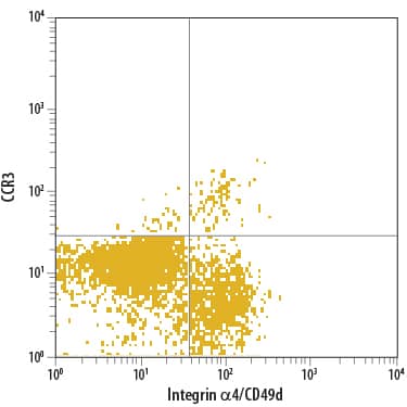 Human peripheral blood granulocytes were stained with Rat Anti-Human CCR3 PerCP-conjugated Monoclonal Antibody (Catalog # FAB155C) and Mouse Anti-Human Integrin a4/CD49d APC-conjugated Monoclonal Antibody (Catalog # FAB1354A). Quadrant markers were set based on control antibody staining (Catalog # IC006C). View our protocol for Staining Membrane-associated Proteins.