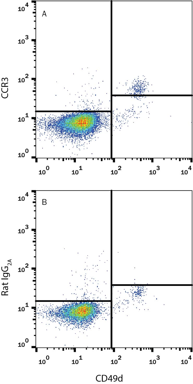 Human peripheral blood granulocytes were stained with Mouse Anti-Human Integrin a4/CD49d APC-conjugated Monoclonal Antibody (Catalog # FAB1354A) and either (A) Rat Anti-Human CCR3 Fluorescein-conjugated Monoclonal Antibody (Catalog # FAB155F) or (B) Rat IgG2AFluorescein Isotype Control (Catalog # IC006F). View our protocol for Staining Membrane-associated Proteins.