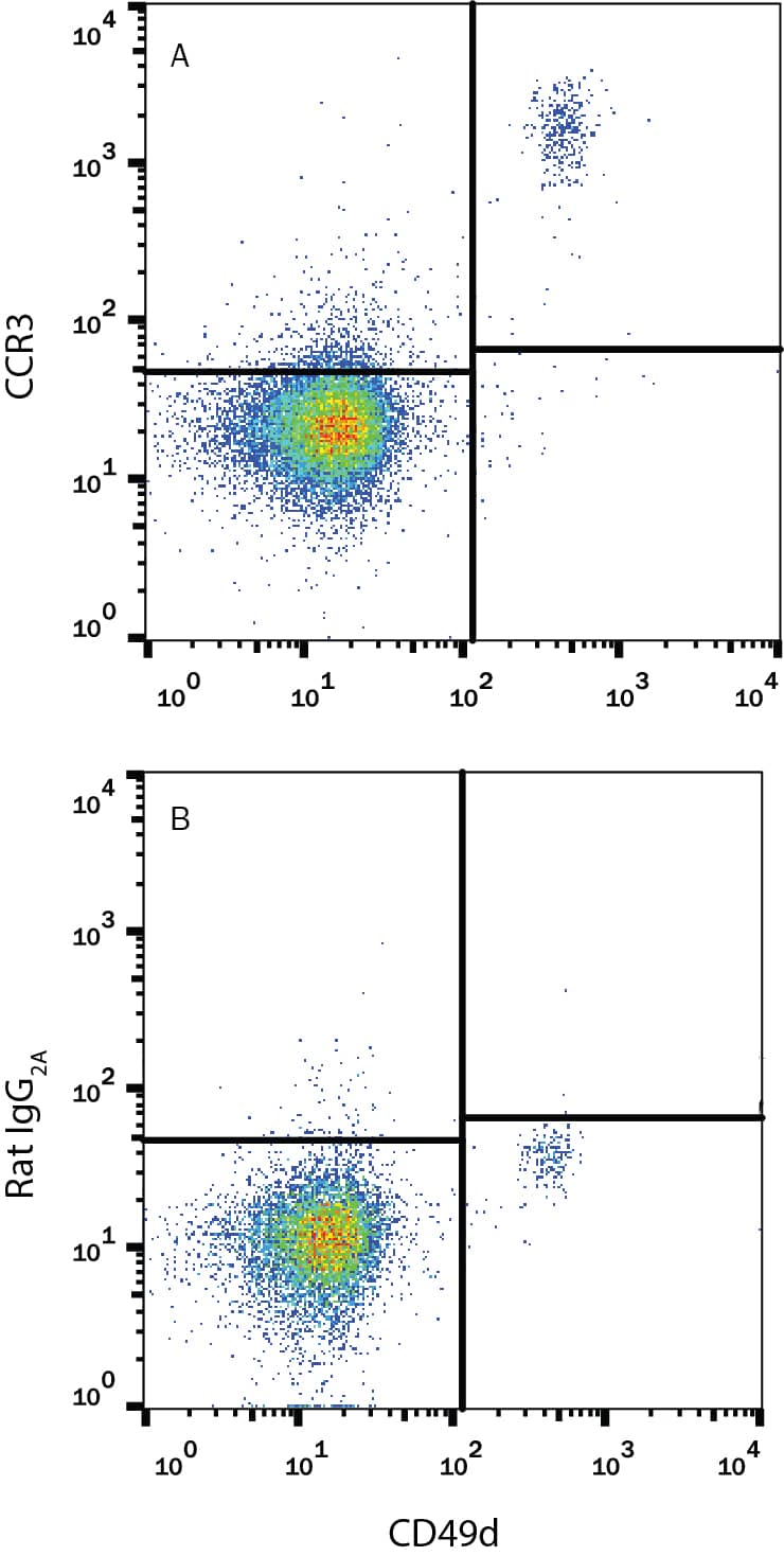 Human peripheral blood granulocytes were stained with Mouse Anti-Human Integrin a4/CD49d APC-conjugated Monoclonal Antibody (Catalog # FAB1354A) and either (A) Rat Anti-Human CCR3 PE-conjugated Monoclonal Antibody (Catalog # FAB155P) or (B) Rat IgG2APhycoerythrin Isotype Control (Catalog # IC006P). View our protocol for Staining Membrane-associated Proteins.