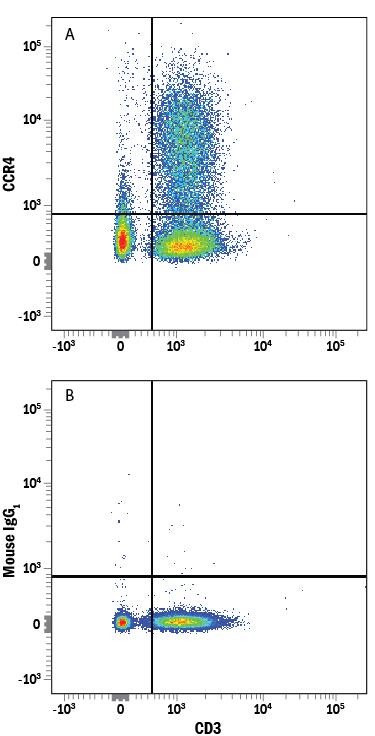 Human peripheral blood lymphocytes were stained with Mouse Anti-Human CD3e APC-conjugated Monoclonal Antibody (Catalog # FAB100A) and either (A) Mouse Anti-Human/Rat CCR4 PE-conjugated Monoclonal Antibody (Catalog # FAB1567P) or (B) Mouse IgG2BPhycoerythrin Isotype Control (Catalog # IC0041P). View our protocol for Staining Membrane-associated Proteins.