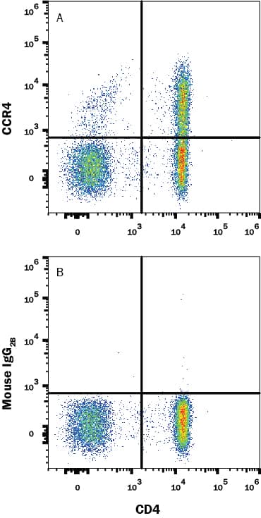 Human peripheral blood mononuclear cells (PBMCs) were stained with Mouse Anti-Human CD4 APC-conjugated Monoclonal Antibody (Catalog # FAB3791A) and either (A) Mouse Anti-Human CCR4 Monoclonal Antibody (Catalog # MAB1567R) or (B) Mouse IgG2B Flow Cytometry Isotype Control (Catalog # MAB0041) followed by Phycoerythrin-conjugated Anti-Mouse IgG Secondary Antibody (Catalog # F0102B). View our protocol for Staining Membrane-associated Proteins.