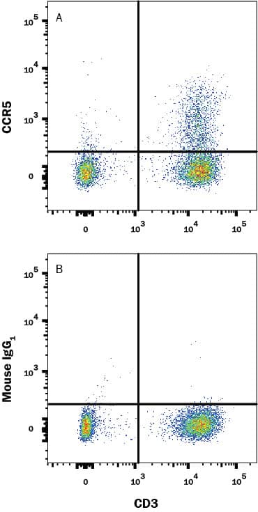 Human peripheral blood lymphocytes were stained with (A) Mouse Anti-Human CCR5 Monoclonal Antibody (Catalog # MAB1802) or (B) control antibody (Catalog # MAB002), followed by Phycoerythrin-conjugated Anti-Mouse IgG Secondary Antibody (Catalog # F0102B) and Mouse anti-Human CD3 APC-conjugated monoclonal antibody (Catalog # FAB100A). View our protocol for Staining Membrane-associated Proteins.