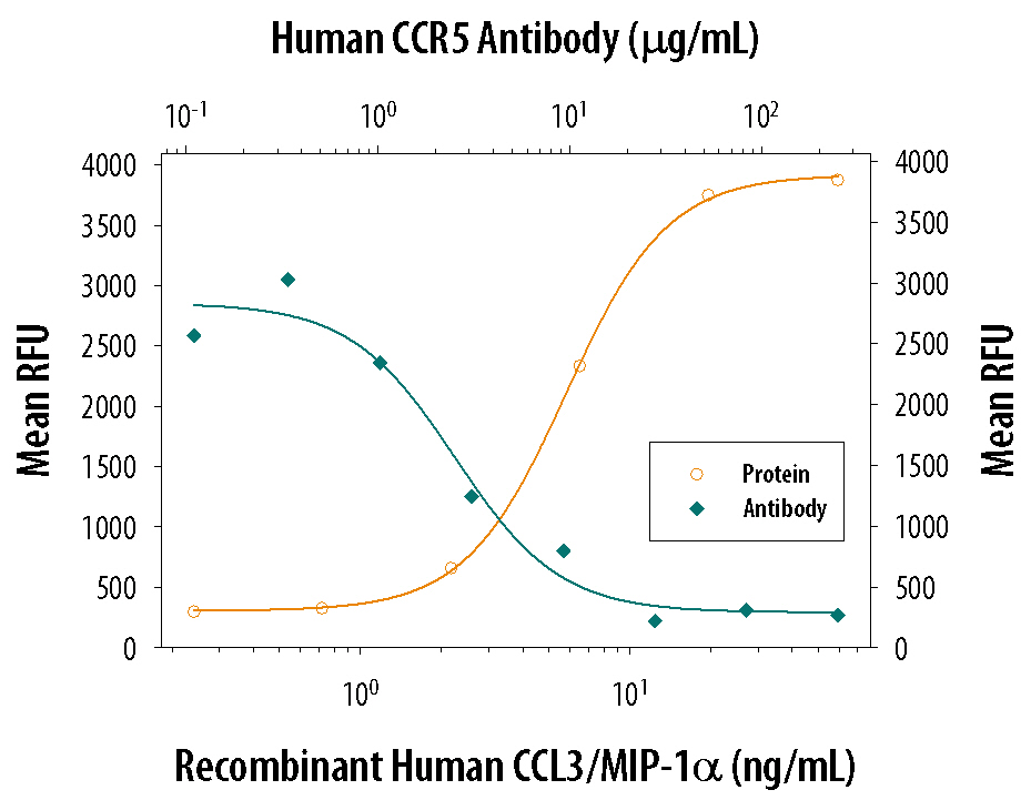 Neutralization CCR5 Antibody (45531) [Unconjugated]
