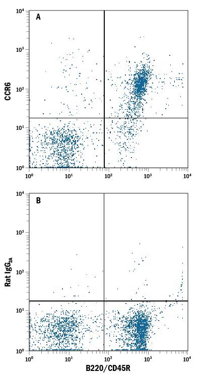 Mouse splenocytes were stained with Rat Anti-Mouse B220/CD45R APC-conjugated Monoclonal Antibody (Catalog # FAB1217A) and either (A) Rat Anti-Human/Mouse CCR6 PE-conjugated Monoclonal Antibody (Catalog # FAB590P) or (B) Rat IgG2APhycoerythrin Isotype Control (Catalog # IC006P). View our protocol for Staining Membrane-associated Proteins.