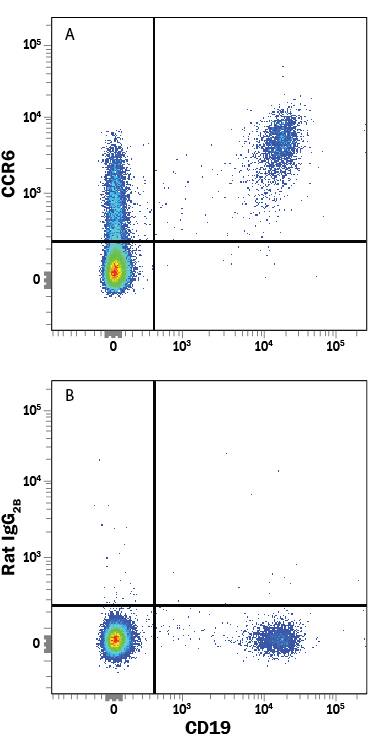 Human peripheral blood lymphocytes were stained with Mouse Anti-Human CD19 APC-conjugated Monoclonal Antibody (Catalog # FAB4867A) and either (A) Rat Anti-Human/Mouse CCR6 PE-conjugated Monoclonal Antibody (Catalog # FAB590P) or (B) Rat IgG2APhycoerythrin Isotype Control (Catalog # IC006P). View our protocol for Staining Membrane-associated Proteins.