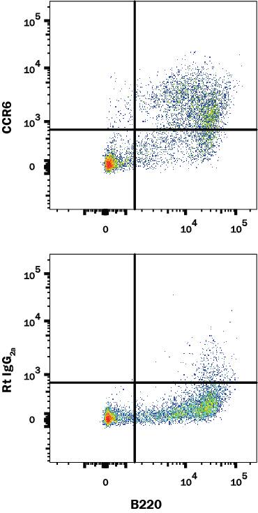 Mouse splenocytes were stained with (A) Rat Anti-Mouse CCR6 Monoclonal Antibody (Catalog # MAB590) or (B) Rat IgG2A control antibody (Catalog # MAB006) followed by Goat anti-Rat IgG APC-conjugated Secondary Antibody (Catalog # F0113) and Rat Anti-Mouse B220/CD45R Fluorescein-conjugated Monoclonal Antibody (Catalog # FAB1217F). View our protocol for Staining Membrane-associated Proteins.