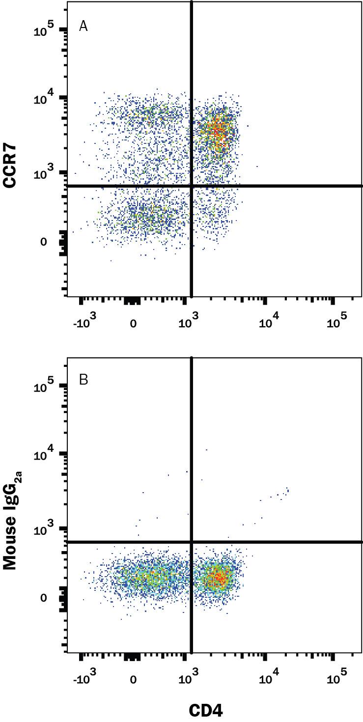 Human peripheral blood lymphocytes were stained with Mouse Anti-Human CD4 APC-conjugated Monoclonal Antibody (Catalog # FAB3791A) and either (A) Mouse Anti-Human CCR7 Fluorescein-conjugated Monoclonal Antibody (Catalog # FAB197F) or (B) Mouse IgG2AFluorescein Isotype Control (Catalog # IC003F). View our protocol for Staining Membrane-associated Proteins.