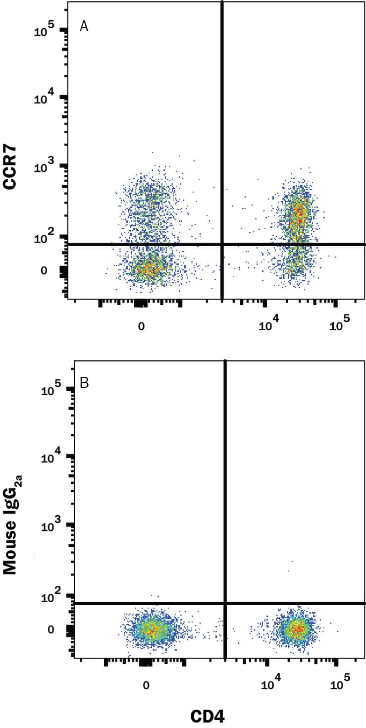 Human peripheral blood lymphocytes were stained with Mouse Anti-Human CD4 PE‑conjugated Monoclonal Antibody (Catalog # FAB3791P) and either (A) Mouse Anti-Human CCR7 Alexa Fluor® 700‑conjugated Monoclonal Antibody (Catalog # FAB197N) or (B) Mouse IgG2AAlexa Fluor 700 Isotype Control (Catalog # IC003N). View our protocol for Staining Membrane-associated Proteins.
