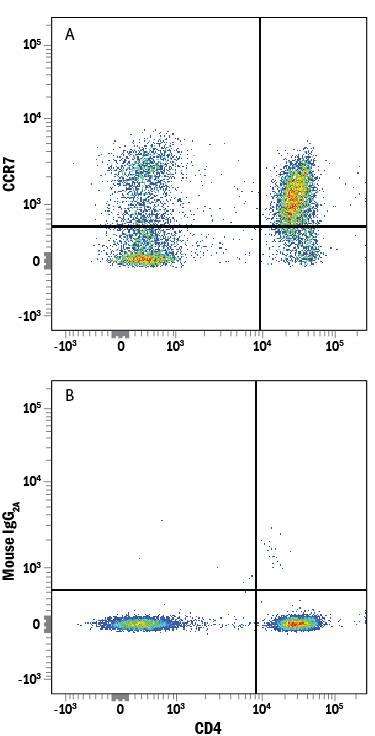 Human peripheral blood mononuclear cells (PBMCs) were stained with Mouse Anti-Human CD4 PE-conjugated Monoclonal Antibody (Catalog # FAB3791P) and either (A) Mouse Anti-Human CCR7 Alexa Fluor® 647-conjugated Monoclonal Antibody (Catalog # FAB197R) or (B) Mouse IgG2AAlexa Fluor 647 Isotype Control (Catalog # IC003R). View our protocol for Staining Membrane-associated Proteins.