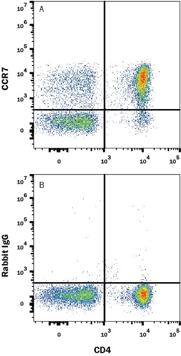 Human peripheral blood mononuclear cells (PBMCs) were stained with (A) Rabbit Anti-Human CCR7 Monoclonal Antibody (Catalog # MAB1971) or (B) Rabbit IgG Isotype Control (Catalog # MAB1050) followed by PE-conjugated Anti-Rabbit IgG Secondary Antibody (Catalog # F0110) and Mouse Anti-Human CD4 APC-conjugated Monoclonal Antibody (Catalog # FAB3791A). View our protocol for Staining Membrane-associated Proteins.