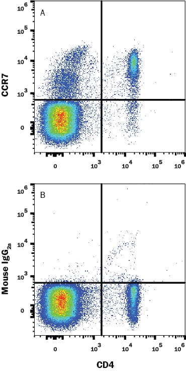 Human peripheral blood mononuclear cells (PBMCs) were stained with PE-conjugated Mouse anti-Human CD4 Monoclonal Antibody (Catalog # FAB3791P) and either (A) Mouse anti-Human CCR7 Monoclonal Antibody (Catalog # MAB197R) or (B) Mouse IgG2Aisotype control antibody (Catalog # MAB003) followed by APC-conjugated anti-mouse IgG secondary antibody (Catalog # F0101B). View our protocol for Staining Membrane-associated Proteins.