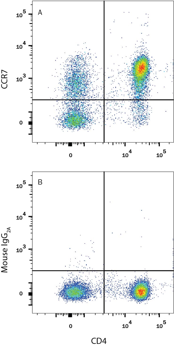 Human peripheral blood mononuclear cells (PBMCs) were stained with Mouse Anti-Human CD4 PE-conjugated Monoclonal Antibody (Catalog # FAB3791P) and either (A) Mouse Anti-Human CCR7 Monoclonal Antibody (Catalog # MAB197) or (B) Mouse IgG2AIsotype Control (Catalog # MAB003) followed by Allophycocyanin-conjugated Anti-Mouse IgG Secondary Antibody (Catalog # F0101B). View our protocol for Staining Membrane-associated Proteins.