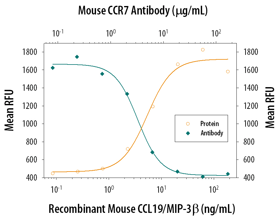 Recombinant Mouse CCL19/MIP-3 beta  (Catalog # 440-M3) chemoattracts the BaF3 mouse pro-B cell line transfected with mouse CCR7 in a dose-dependent manner (orange line). The amount of cells that migrated through to the lower chemotaxis chamber was measured by Resazurin (Catalog # AR002). Chemotaxis elicited by Recombinant Mouse CCL19/MIP-3 beta  (25 ng/mL) is neutralized (green line) by increasing concentrations of Rat Anti-Mouse CCR7 Monoclonal Antibody (Catalog # MAB3477). The ND50 is typically 2-10 µg/mL.