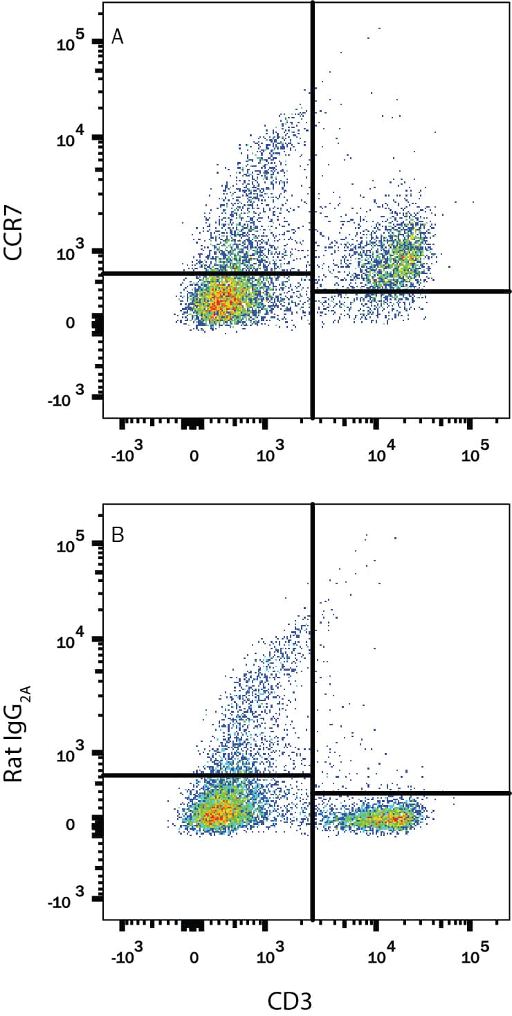 Mouse splenocytes were stained with Rat Anti-Mouse CD3 PE-conjugated Monoclonal Antibody (Catalog # FAB4841P) and either (A) Rat Anti-Mouse CCR7 Monoclonal Antibody (Catalog # MAB3477) or (B) Rat IgG2AIsotype Control (Catalog # MAB006) followed by Allophycocyanin-conjugated Anti-Rat IgG Secondary Antibody (Catalog # F0113). View our protocol for Staining Membrane-associated Proteins.