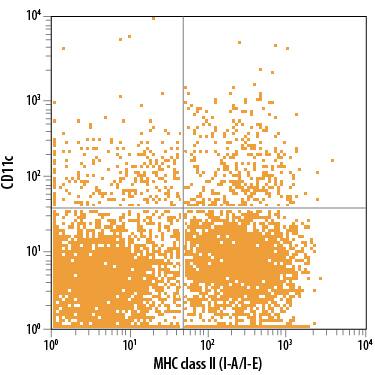 Mouse splenocytes were stained with Hamster Anti-Mouse CD11c Monoclonal Antibody (Catalog # MAB69501) followed by Phycoerythrin-conjugated Anti-Hamster IgG Secondary Antibody (F0120) and Rat Anti-Mouse MHC class II (I-A/I-E) APC-conjugated Monoclonal Antibody (FAB6118A). Quadrant markers were set based on normal hamster IgG control antibody staining.