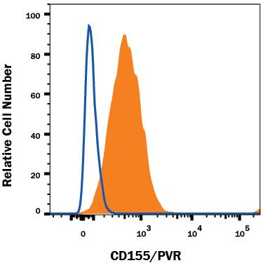 HUVEC human umbilical vein endothelial cells were stained with Mouse Anti-Human CD155/PVR APC-conjugated Monoclonal Antibody (Catalog # FAB25301A, filled histogram) or isotype control antibody (Catalog # IC002A, open histogram). View our protocol for Staining Membrane-associated Proteins.