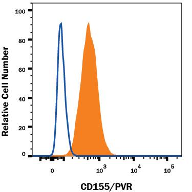 HUVEC human umbilical vein endothelial cells were stained with Mouse Anti-Human CD155/PVR Fluorescein-conjugated Monoclonal Antibody (Catalog # FAB25301F, filled histogram) or isotype control antibody (Catalog # IC002F, open histogram). View our protocol for Staining Membrane-associated Proteins.