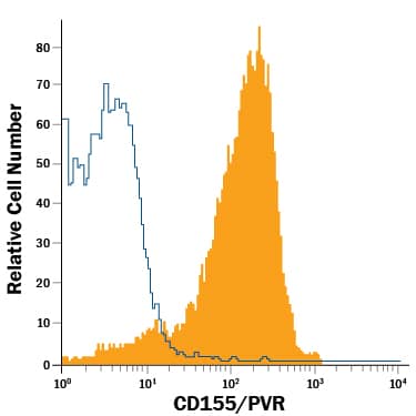 Mouse thymocytes were stained with Rat Anti-Mouse CD155/PVR PE-conjugated Monoclonal Antibody (Catalog # FAB6909P, filled histogram) or isotype control antibody (Catalog # IC006P, open histogram). View our protocol for Staining Membrane-associated Proteins.