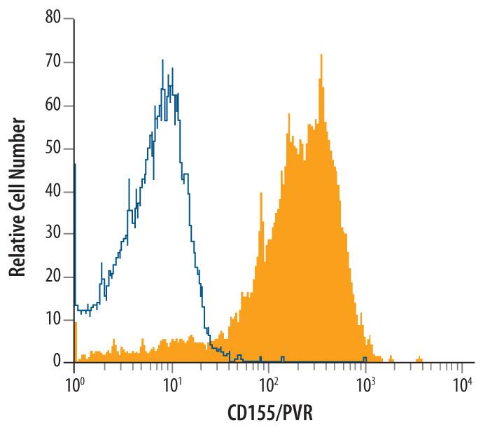 Mouse thymocytes were stained with Rat Anti-Mouse CD155/PVR Monoclonal Antibody (Catalog # MAB6909, filled histogram) or isotype control antibody (Catalog # MAB006, open histogram), followed by Allophycocyanin-conjugated Anti-Rat IgG Secondary Antibody (Catalog # F0113).
