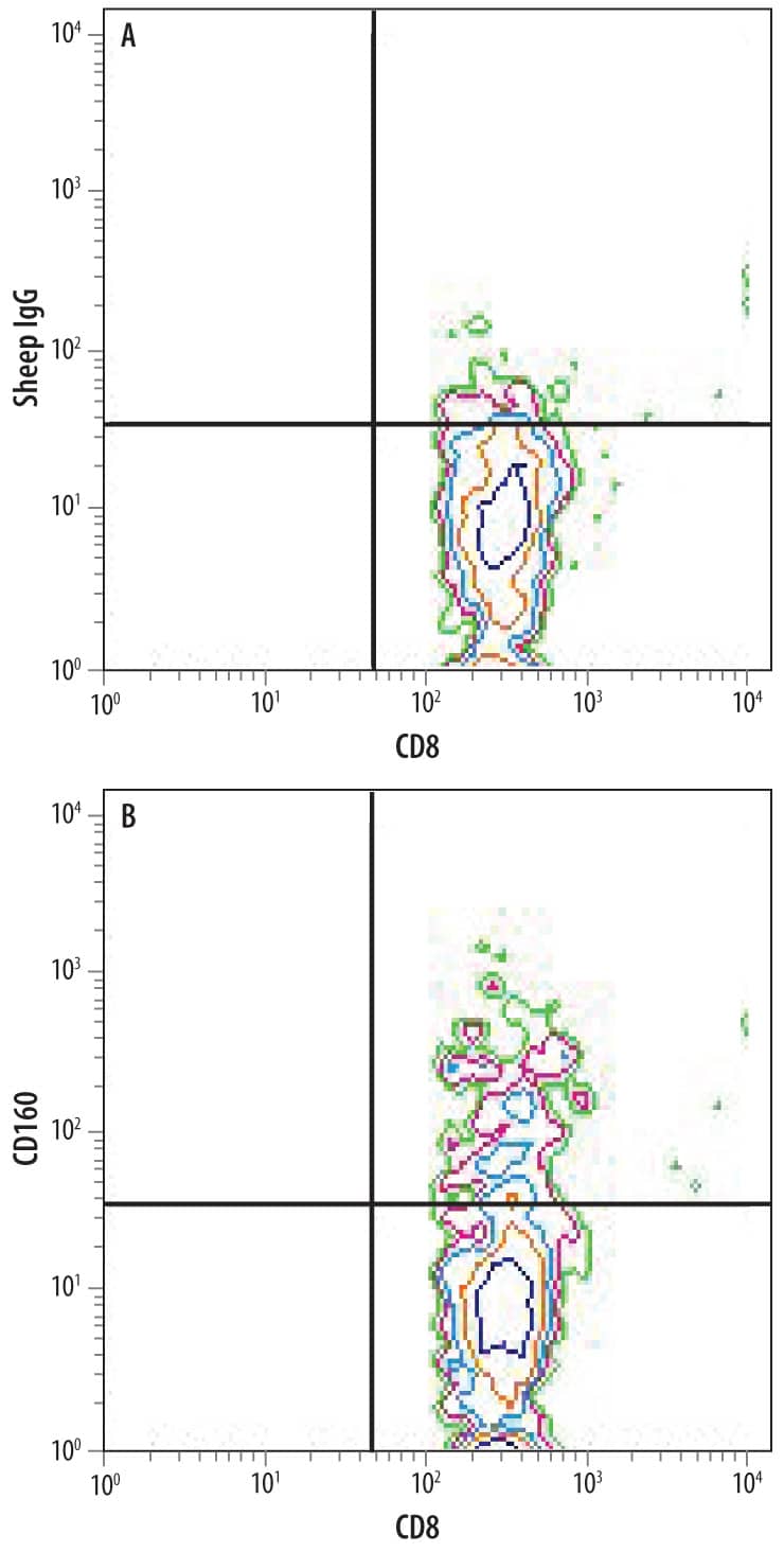 Mouse splenocytes (CD8-gated) stimulated with LPS for 3 hours were stained with Sheep Anti-Mouse CD160 Antigen Affinity-purified Polyclonal Antibody (Catalog # AF3899) followed by Phycoerythrin-conjugated Anti-Sheep IgG Secondary Antibody (Catalog # F0126) and Rat Anti-Mouse CD8a APC-conjugated Monoclonal Antibody (Catalog # FAB116A). Quadrant markers were set based on control antibody staining (Catalog # 5-001-A).