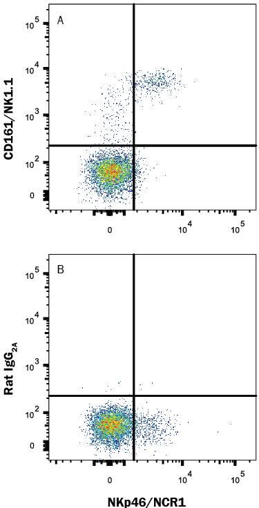 Mouse splenocytes were stained with Rat Anti-Mouse NKp46/NCR1 APC-conjugated Monoclonal Antibody (Catalog # FAB22252A) and either (A) Rat Anti-Mouse CD161/NK1.1 Alexa Fluor® 488-conjugated Monoclonal Antibody (Catalog # FAB7614G) or (B) Rat IgG2AAlexa Fluor 488 Isotype Control (Catalog # IC006G). View our protocol for Staining Membrane-associated Proteins.