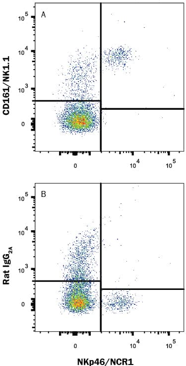 Mouse splenocytes were stained with Rat Anti-Mouse NKp46/NCR1 PE-conjugated Monoclonal Antibody (Catalog # FAB22252P) and either (A) Rat Anti-Mouse CD161/NK1.1 Monoclonal Antibody (Catalog # MAB7614) or (B) Rat IgG2AIsotype Control (Catalog # MAB006) followed by Allophycocyanin-conjugated Anti-Rat IgG Secondary Antibody (Catalog # F0113).