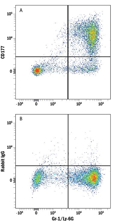 Mouse bone marrow cells were stained with Rat Anti-Mouse Gr-1/Ly-6G APC-conjugated Monoclonal Antibody (Catalog # FAB1037A) and either (A) Rabbit Anti-Mouse CD177 PE-conjugated Monoclonal Antibody (Catalog # FAB8186P) or (B) Normal Rabbit IgG Phycoerythrin Control (Catalog # IC105P). View our protocol for Staining Membrane-associated Proteins.