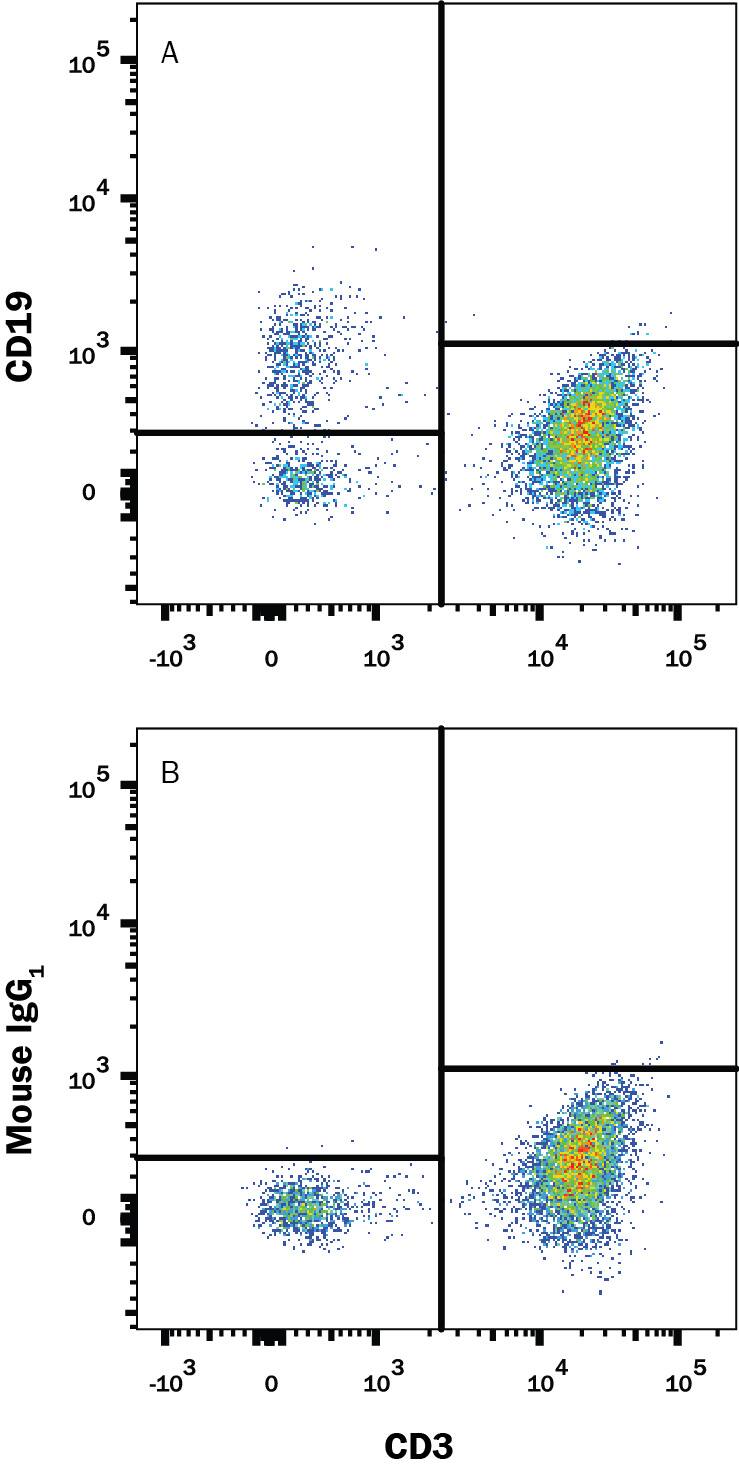 Human peripheral blood mononuclear cells (PBMCs) were stained with Mouse Anti-Human CD3e PE‑conjugated Monoclonal Antibody (Catalog # FAB100P) and either (A) Mouse Anti-Human CD19 PerCP‑conjugated Monoclonal Antibody (Catalog # FAB4867C) or (B) Mouse IgG1PerCP Isotype Control (Catalog # IC002C). View our protocol for Staining Membrane-associated Proteins.