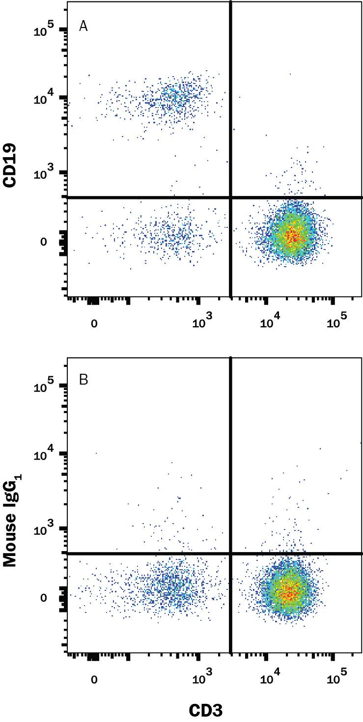 Human peripheral blood mononuclear cells (PBMCs) were stained with Mouse Anti-Human CD3e PE‑conjugated Monoclonal Antibody (Catalog # FAB100P) and either (A) Mouse Anti-Human CD19 Alexa Fluor® 700‑conjugated Monoclonal Antibody (Catalog # FAB4867N) or (B) Mouse IgG1Alexa Fluor 700 Isotype Control (Catalog # IC002N). View our protocol for Staining Membrane-associated Proteins.